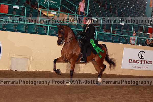 Proof 09yn-05105