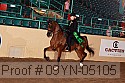 09yn-05105 proof