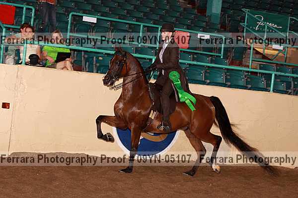Proof 09yn-05107