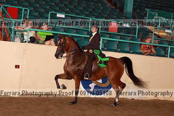 Proof 09yn-05108