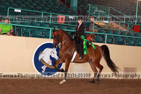 Proof 09yn-05109