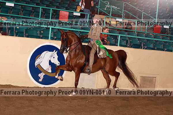 Proof 09yn-05110