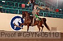 09yn-05110 proof