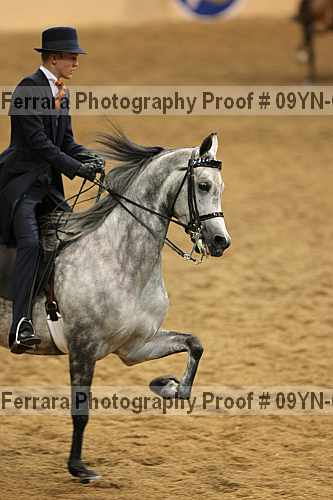 Proof 09yn-08331