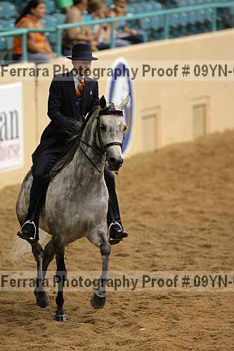 Proof 09yn-08343