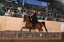 09yn-08347 proof
