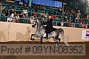 09yn-08352 proof