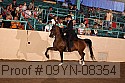 09yn-08354 proof