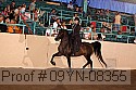 09yn-08355 proof