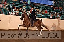 09yn-08356 proof