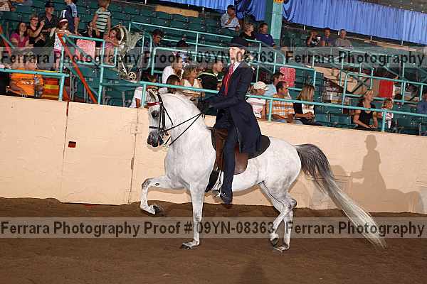 Proof 09yn-08363