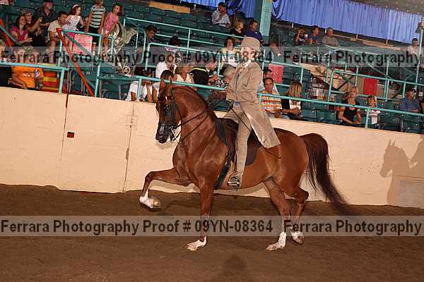 Proof 09yn-08364