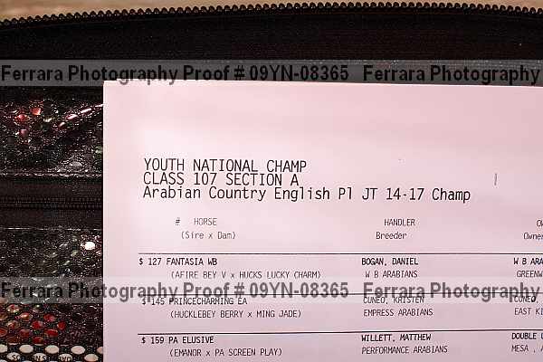 Proof 09yn-08365