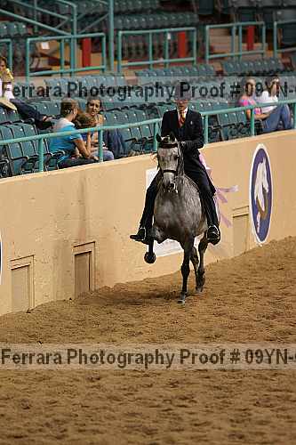 Proof 09yn-08369