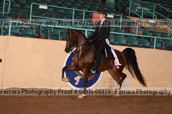 Proof 09yn-08375