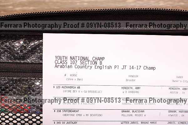 Proof 09yn-08513