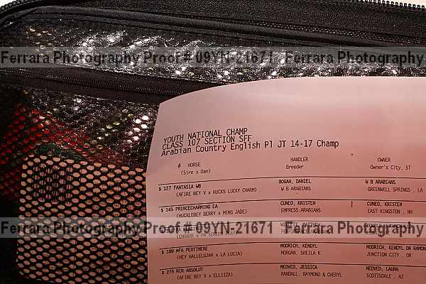 Proof 09yn-21671