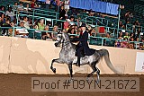 09yn-21672 proof