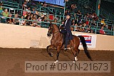 09yn-21673 proof