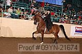 09yn-21674 proof