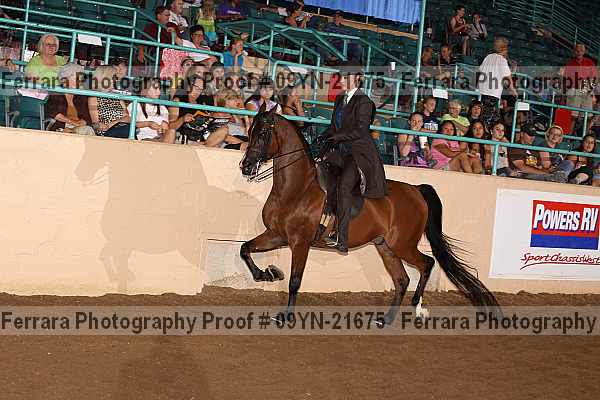 Proof 09yn-21675