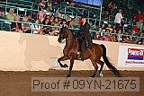 09yn-21675 proof