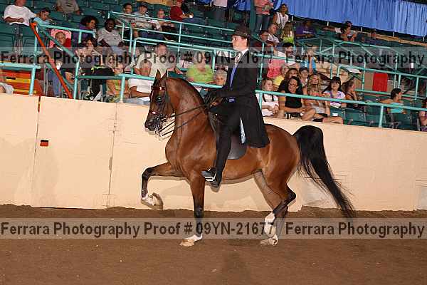 Proof 09yn-21677