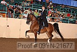 09yn-21677 proof