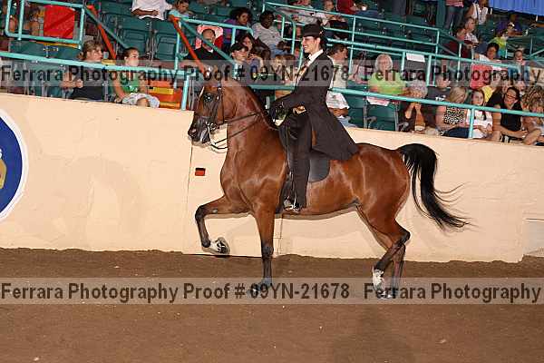 Proof 09yn-21678