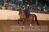 09yn-21679 proof