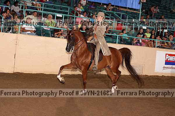 Proof 09yn-21680