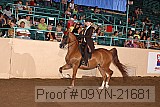 09yn-21681 proof