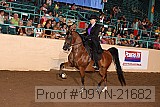 09yn-21682 proof