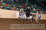 09yn-21683 proof