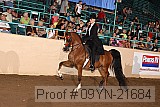 09yn-21684 proof
