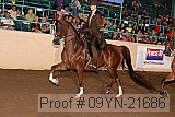 09yn-21686 proof