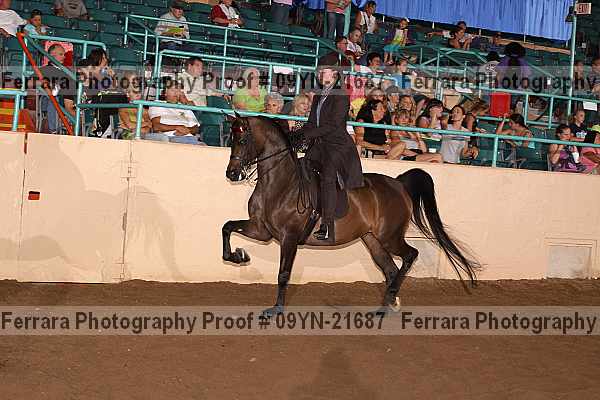 Proof 09yn-21687