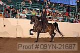 09yn-21687 proof