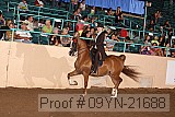 09yn-21688 proof