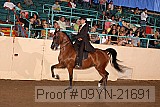 09yn-21691 proof