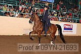 09yn-21693 proof