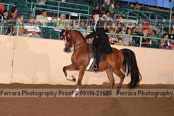 Proof 09yn-21695