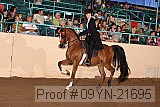 09yn-21695 proof