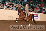 09yn-21696 proof