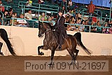 09yn-21697 proof