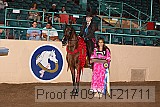 09yn-21711 proof
