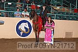 09yn-21712 proof