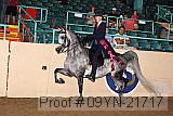 09yn-21717 proof