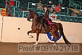09yn-21718 proof