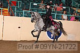 09yn-21722 proof